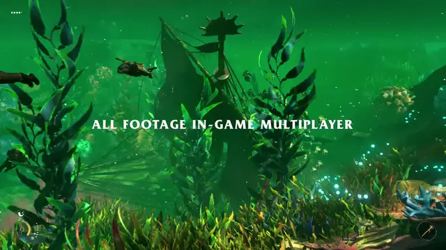 Swimming through kelp forests with squids and wrecks.