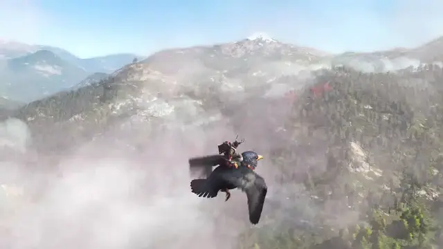 Canopy view from a bird in flight.