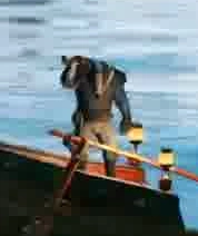 Close shot of a badger waiting on the boat.